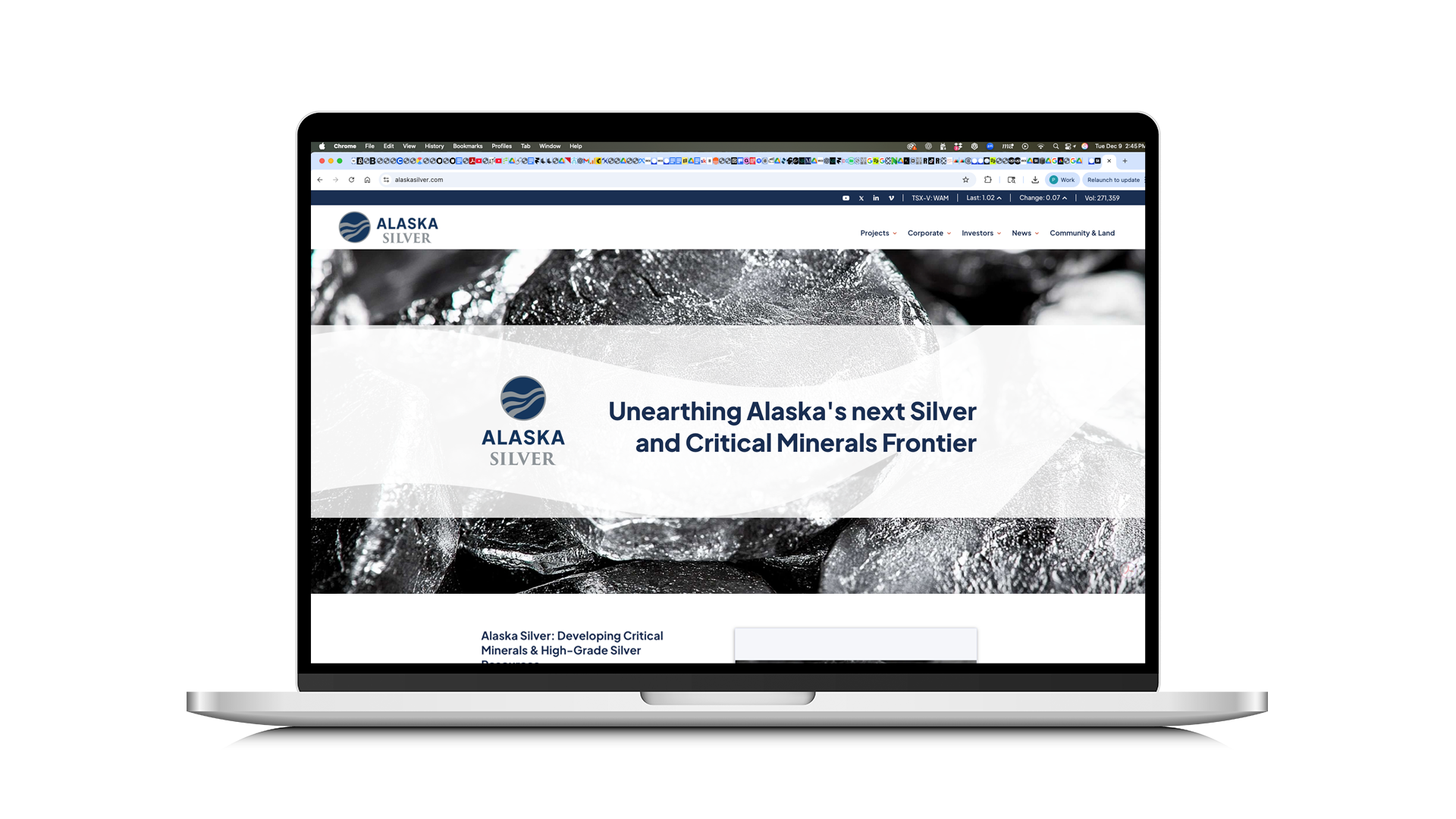 Alaska Silver — case study preview