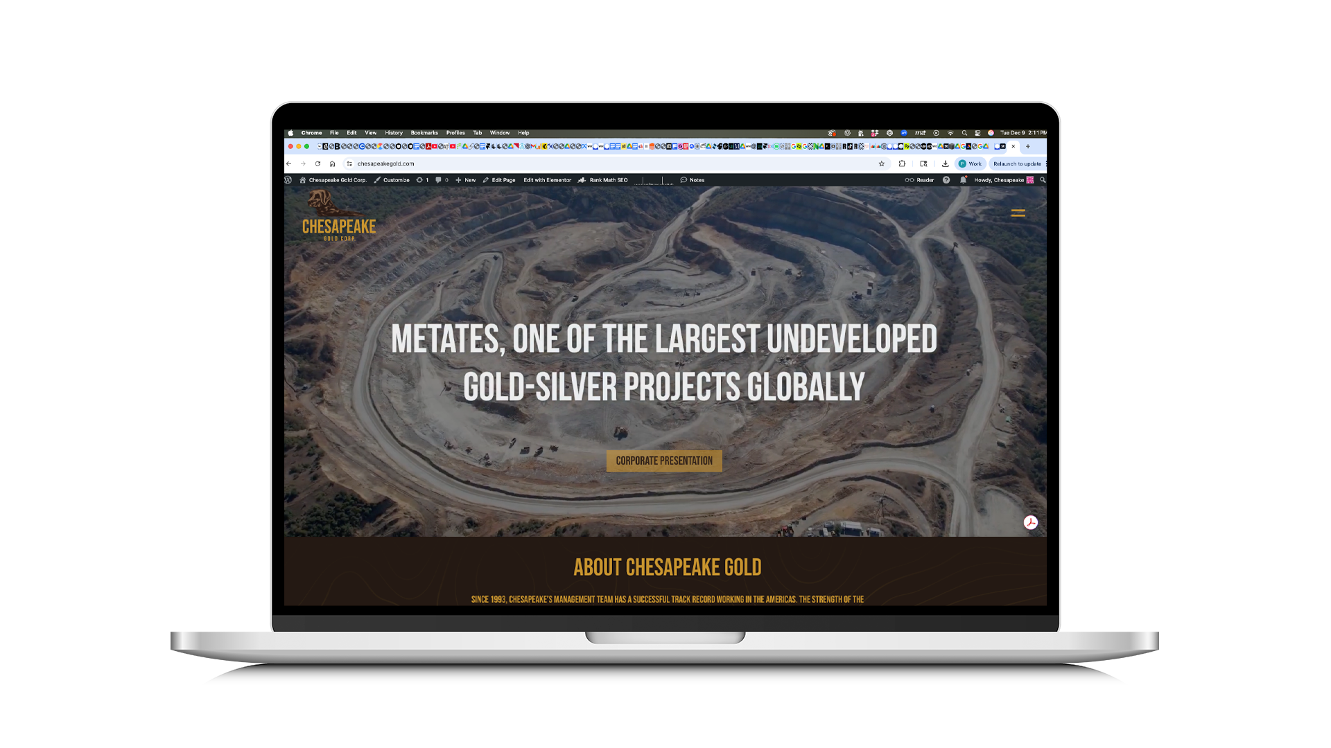Chesapeake Gold — case study preview